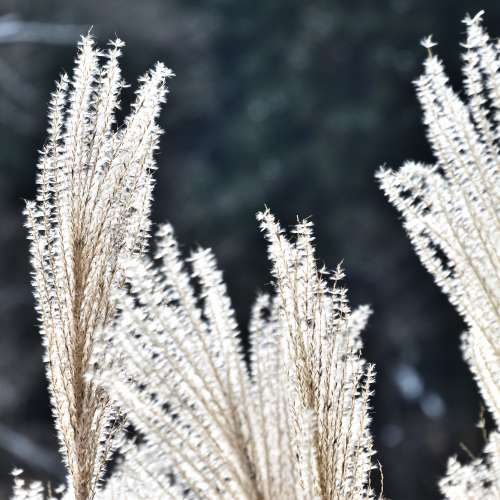 逾90%新少用故售NIKON AF-S 70-300mm 4.5-5.6 G ED VR鏡跟NIKON 57mm NC濾鏡=$1400