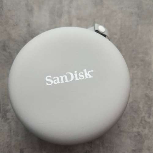 Sandisk 頸枕