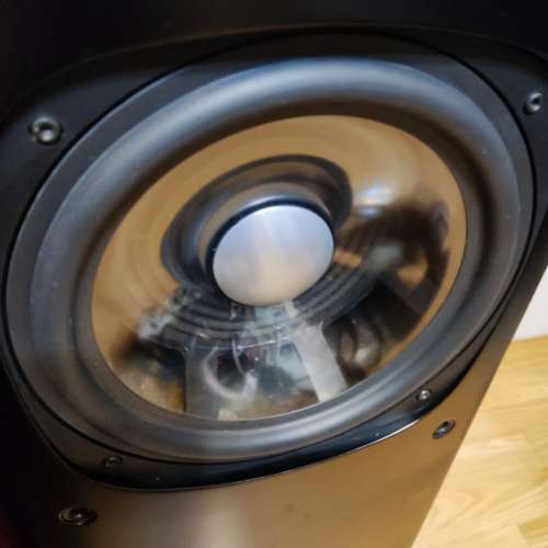 Rogers 音箱，八吋低音，正常，箱體超重，板材無裂，內有隔音棉