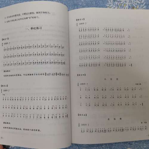 全新葫蘆絲巴烏實用教程 葫蘆絲巴烏自學入門教程 零基礎學葫蘆絲 初學者基本樂理 葫...