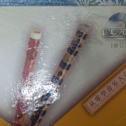全新從零起步學笛子 輕鬆入門教程 零基礎學竹笛 初學者基本樂理 笛子初級教學 (附...