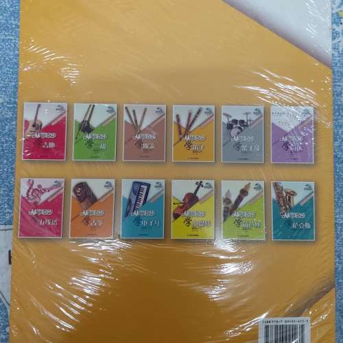 全新從零起步學笛子 輕鬆入門教程 零基礎學竹笛 初學者基本樂理 笛子初級教學 (附...