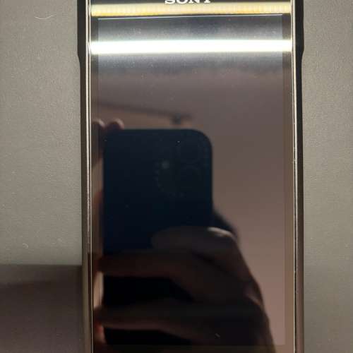 Sony 黑磚二代 NW-WM1AM2 DAP 高解析度音樂播放器