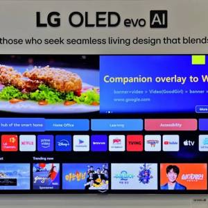 (水貨電視) 100% 全新 LG OLED TV C6 4K SMART TV