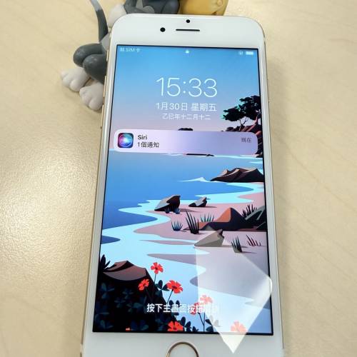 iPhone 6s 金色256g