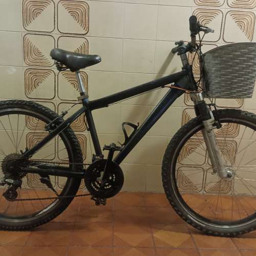 26 吋 黑色 大車