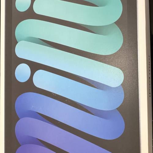 出售 香港行貨Apple iPad mini 7 (7th Gen) 128GB Wi-Fi 灰色