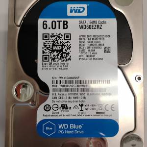 WD 6TB SATA 3.5 Hard disk 硬碟