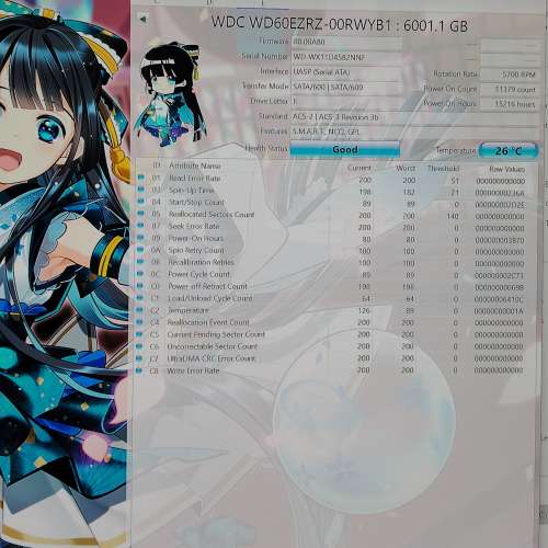 WD 6TB SATA 3.5 Hard disk 硬碟