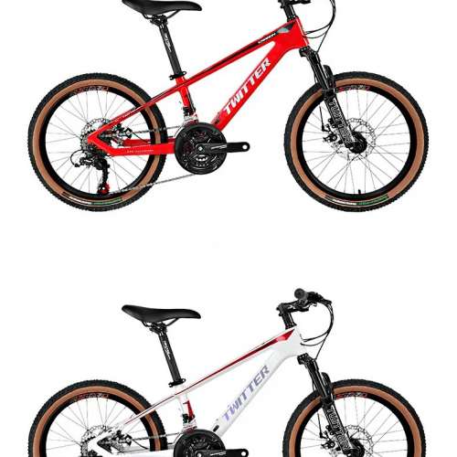 TWITTER 騅特 TW2400pro（KID20）24速油剎碳纖維兒童山地車 送水架前後蛙燈叮叮