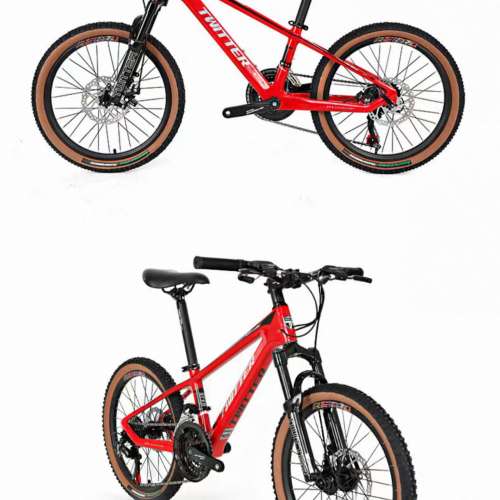 TWITTER 騅特 TW2400pro（KID20）24速油剎碳纖維兒童山地車 送水架前後蛙燈叮叮