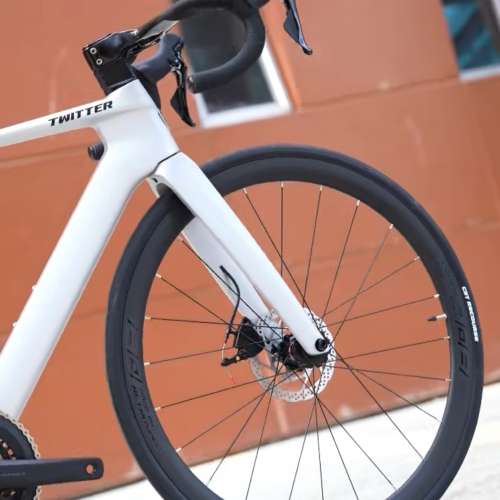 TWITTER 騅特 R10pro 碟剎（二代）22速 桶軸碳纖維公路車 送水架前後蛙燈