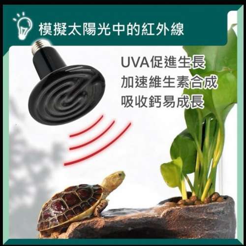 陶瓷加熱燈200W可寵物可放浴室沖涼免冷風