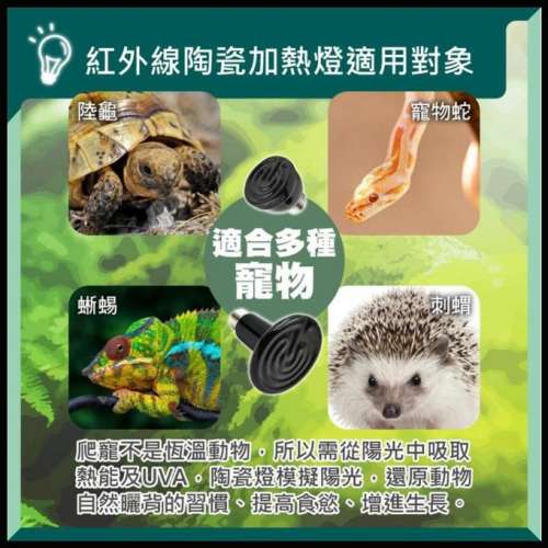 陶瓷加熱燈200W可寵物可放浴室沖涼免冷風