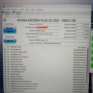 鎧俠KIOXIA SD10 1TB pcie4x4  拼多多水貨 ，私保一個月。
