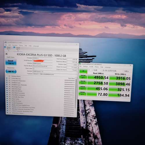 鎧俠KIOXIA SD10 1TB pcie4x4  拼多多水貨 ，私保一個月。