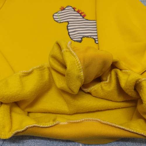 二手黃色衛衣 套頭衛衣 加絨衛衣 上衣