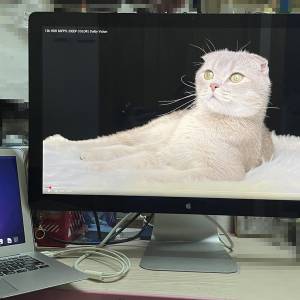 APPLE 27吋 2K LED Cinema Display 顯示器