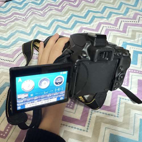 D5300 + 18-140mm kit鏡