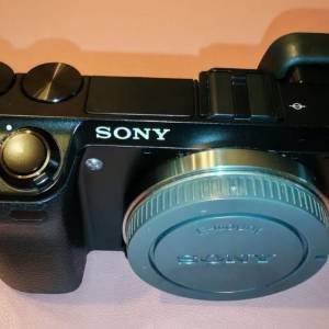 Sony NEX 7 and Sony Zeiss 24mm F1.8