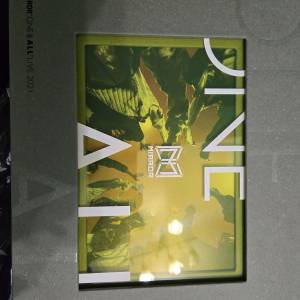 Mirror DVD one & All live