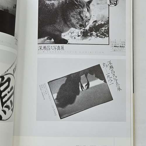 深瀨昌久：漸漸變成烏鴉的男人