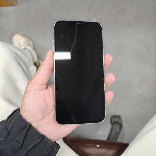 iPhone 13 pro max 1tb 電池效能96 ％，送Magsafe Case及玻璃貼