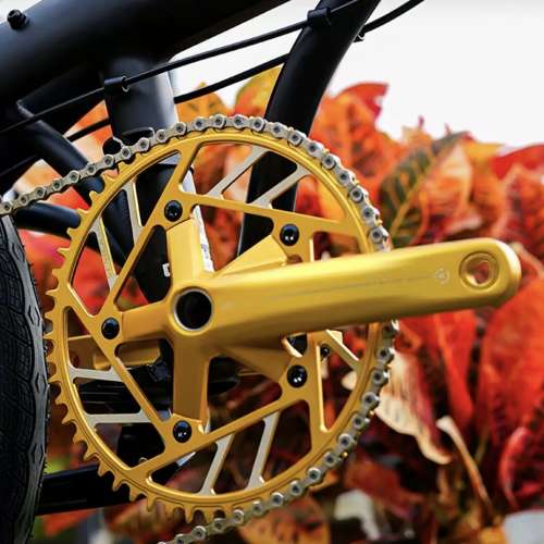 2026 新款 CAMP P10 10速 油剎20吋406鋁合金折叠車 送水架前後蛙燈叮叮