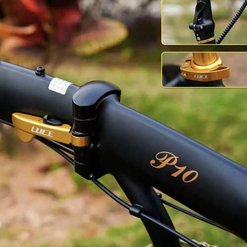 2026 新款 CAMP P10 10速 油剎20吋406鋁合金折叠車 送水架前後蛙燈叮叮