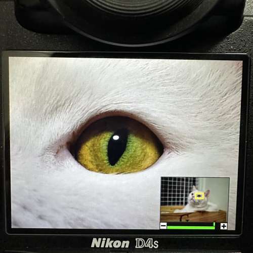 Sigma AF 1:1 Micro 50mm f2.8 (Nikon mount)