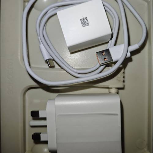 MAGIC 8 PRO ,100W白色充電器