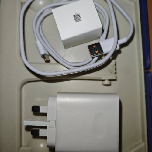 MAGIC 8 PRO ,100W白色充電器