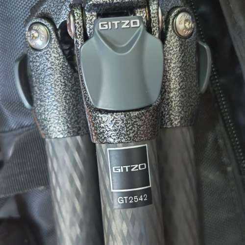 Gitzo GT2542