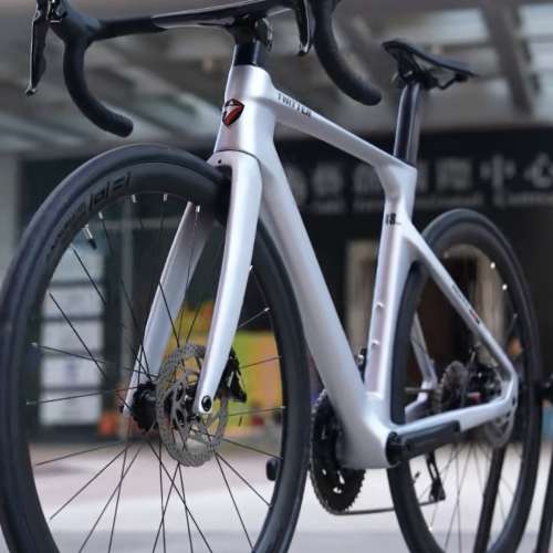 TWITTER 騅特 R10pro 碟剎（二代）22速 桶軸碳纖維公路車 送水架前後蛙燈