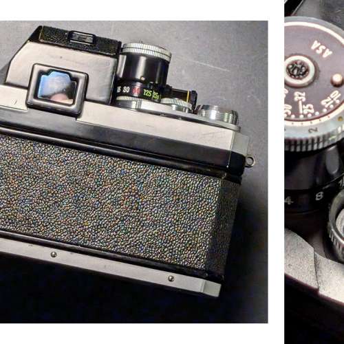 Nikon F (Nippon Kogaku) + 大眼仔初代測光頂 + Nippon Kogaku 5cm f/2