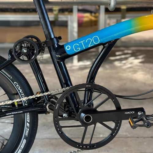 最新款 FNHON 風行 風布 GT20 10速桶軸碟剎 20吋鋁合金折叠車 (三折叠 小布 國布) ...