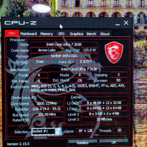 INTEL 265K 主機 9060 XT 16GB