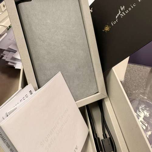 SONY NW-WM1ZM2 金磚2