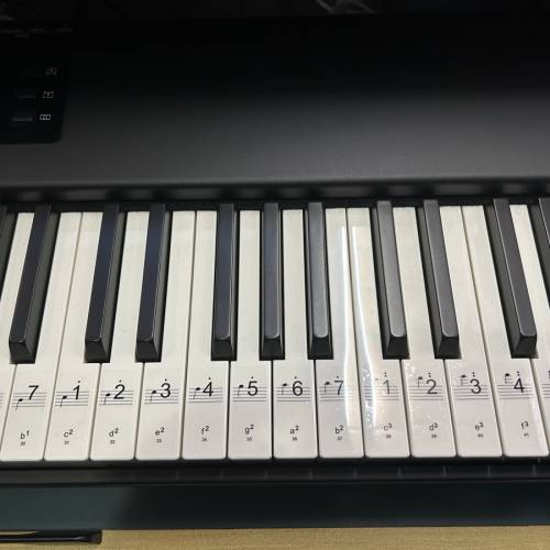 Studiologic SL88 Studio 88鍵 仿真鋼琴 全配重觸鍵 MIDI Keyboard 鍵盤 Controlle...
