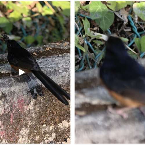 X200 ULTRA 16+512 紅色 連 蔡司增距鏡