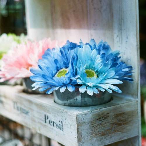 ** EXP : 02/2021 ** Fujifilm Superia Venus 800 - 27exp, 135/35mm Color Negative