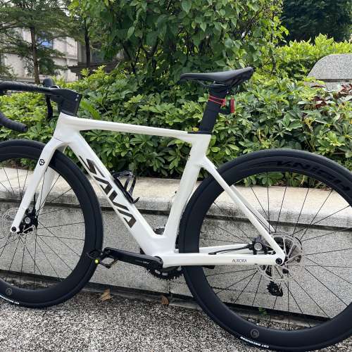 白色 47碼 2026 SAVA A7L 24速油剎桶軸碳刀碳纖維公路車 送水架前後蛙燈