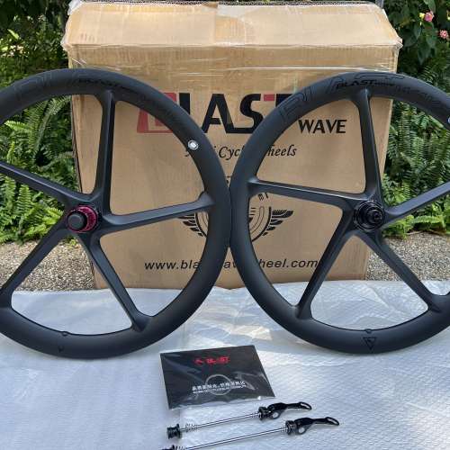 ( DAHON 大行 P10 改裝款式 ) BLASTWAVE BLAST WAVE 冲擊波 碟剎 20吋 451 碳纖維五...