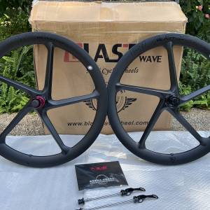 ( DAHON 大行 P10 改裝款式 ) BLASTWAVE BLAST WAVE 冲擊波 碟剎 20吋 451 碳纖維五...
