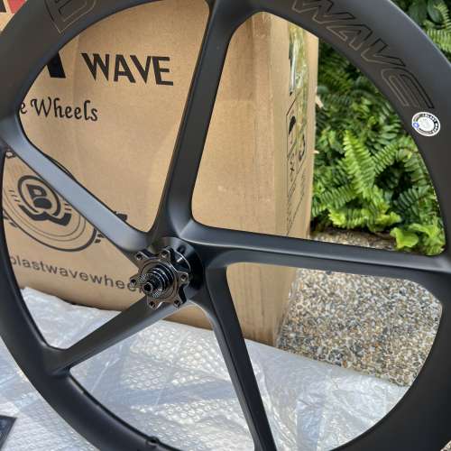( DAHON 大行 P10 改裝款式 ) BLASTWAVE BLAST WAVE 冲擊波 碟剎 20吋 451 碳纖維五...