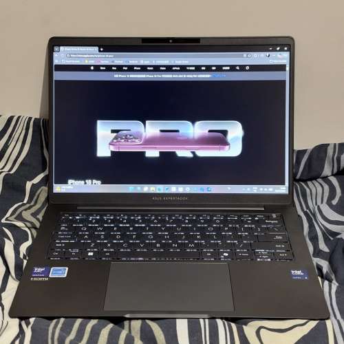 ASUS ExpertBook B5 14" Notebook (B5405CCA-NZ0307X)