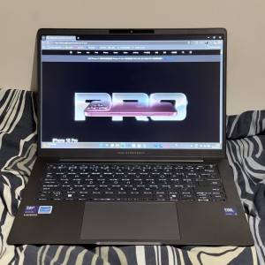 ASUS ExpertBook B5 14" Notebook (B5405CCA-NZ0307X)