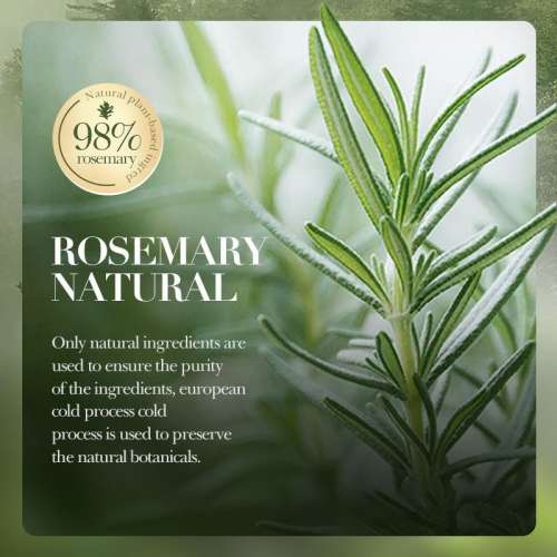 全新 SADOER  Rosemary Shampoo 控油 迷迭香 洗頭水 洗髮水 洗髮露 500ml