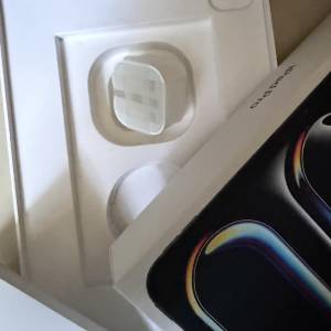 iPad Pro （m4)原裝盒連全新原裝快充火牛