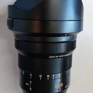 Panasonic Leica DG 8-18mm F2.8-4.0 (for m43)
